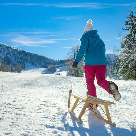 Chalet House On The Hill Wellness Chalet - Happy Spodnja Idrija